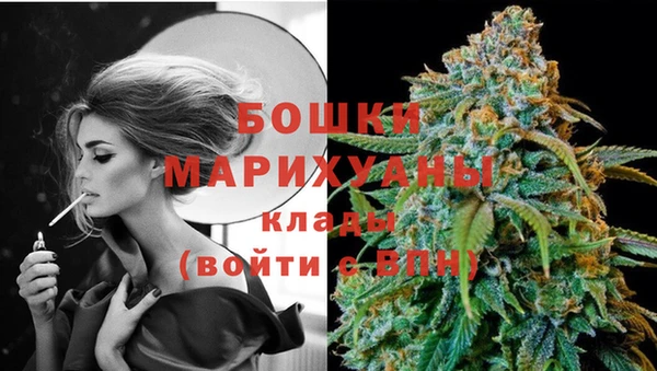 тгк Бородино