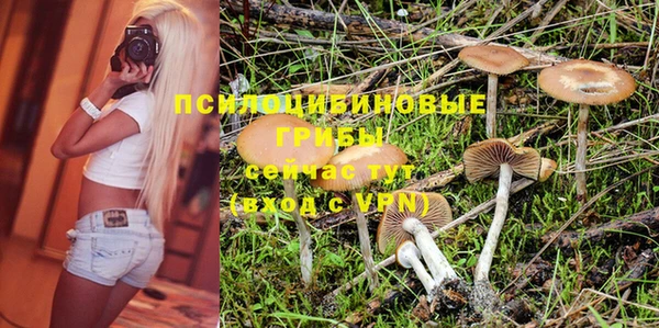 винт Богородск