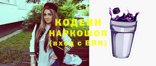 шишки Верея