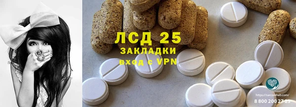 тгк Бородино